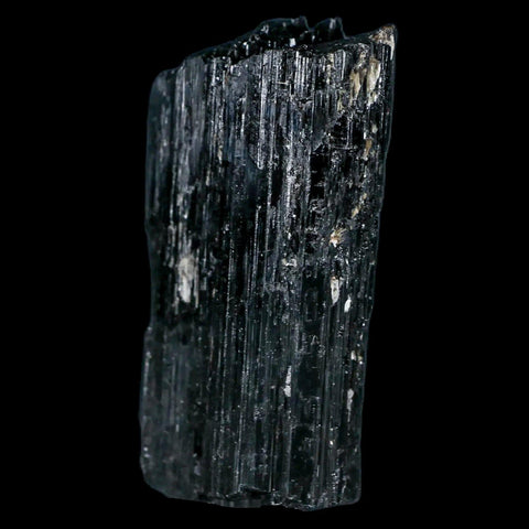 2.5" Natural Rough Black Tourmaline Mineral Crystal Specimen Schorl Brazil - Fossil Age Minerals