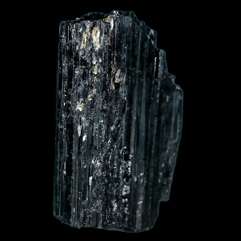 2.5" Natural Rough Black Tourmaline Mineral Crystal Specimen Schorl Brazil - Fossil Age Minerals