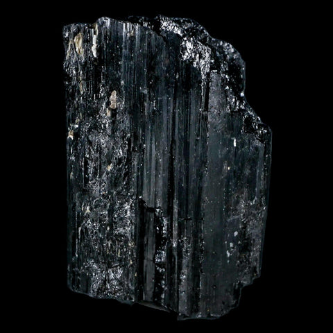 2.5" Natural Rough Black Tourmaline Mineral Crystal Specimen Schorl Brazil - Fossil Age Minerals