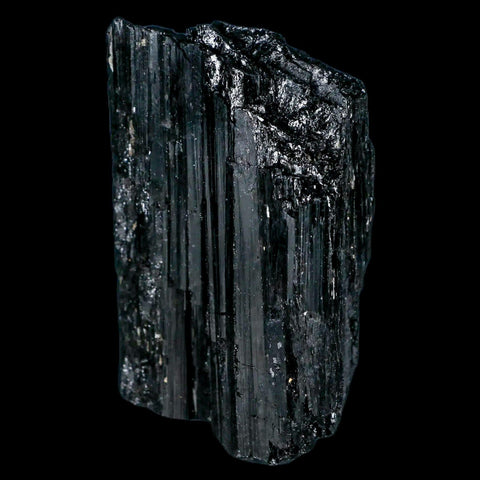 2.5" Natural Rough Black Tourmaline Mineral Crystal Specimen Schorl Brazil - Fossil Age Minerals