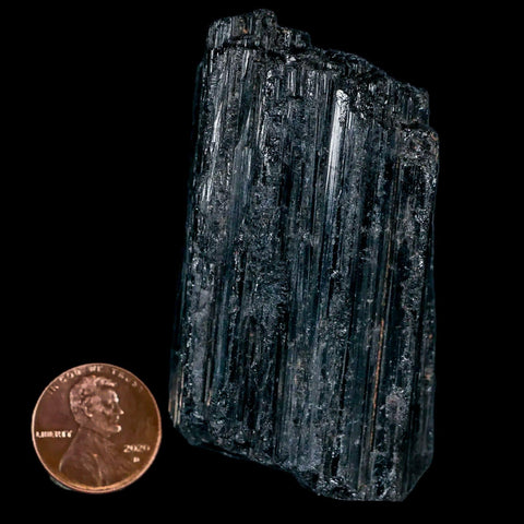 2.6" Natural Rough Black Tourmaline Mineral Crystal Specimen Schorl Brazil - Fossil Age Minerals