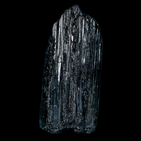 2.6" Natural Rough Black Tourmaline Mineral Crystal Specimen Schorl Brazil - Fossil Age Minerals