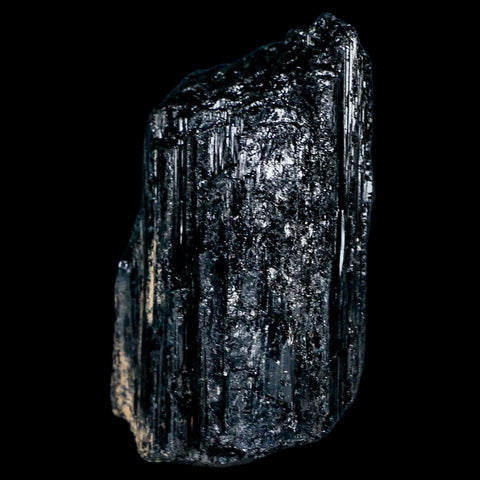 2.6" Natural Rough Black Tourmaline Mineral Crystal Specimen Schorl Brazil - Fossil Age Minerals