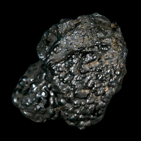 2.7" Hematite Botryoidal Kidney Ore Rock Mineral Specimen Irhoud Mine, Morocco - Fossil Age Minerals