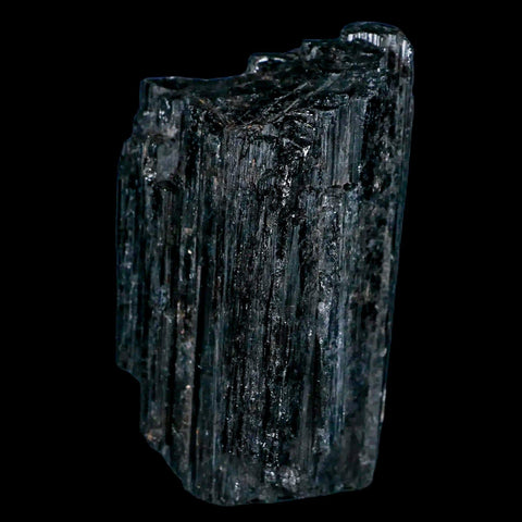 3.1" Natural Rough Black Tourmaline Mineral Crystal Specimen Schorl Brazil - Fossil Age Minerals