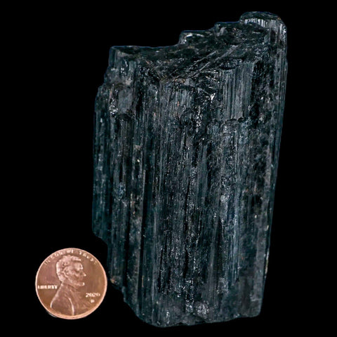 3.1" Natural Rough Black Tourmaline Mineral Crystal Specimen Schorl Brazil - Fossil Age Minerals