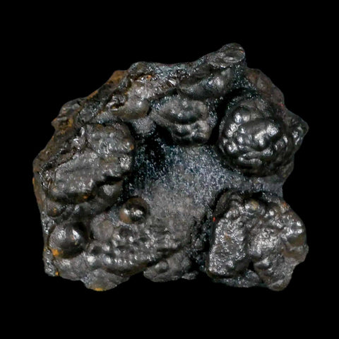 2.4" Hematite Botryoidal Kidney Ore Rock Mineral Specimen Irhoud Mine, Morocco - Fossil Age Minerals