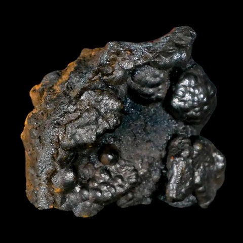 2.4" Hematite Botryoidal Kidney Ore Rock Mineral Specimen Irhoud Mine, Morocco - Fossil Age Minerals