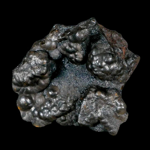 2.4" Hematite Botryoidal Kidney Ore Rock Mineral Specimen Irhoud Mine, Morocco - Fossil Age Minerals