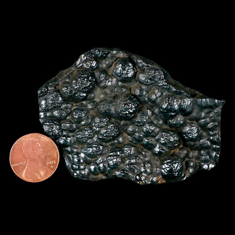 2.9" Hematite Botryoidal Kidney Ore Rock Mineral Specimen Irhoud Mine, Morocco - Fossil Age Minerals