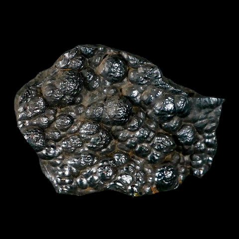 2.9" Hematite Botryoidal Kidney Ore Rock Mineral Specimen Irhoud Mine, Morocco - Fossil Age Minerals