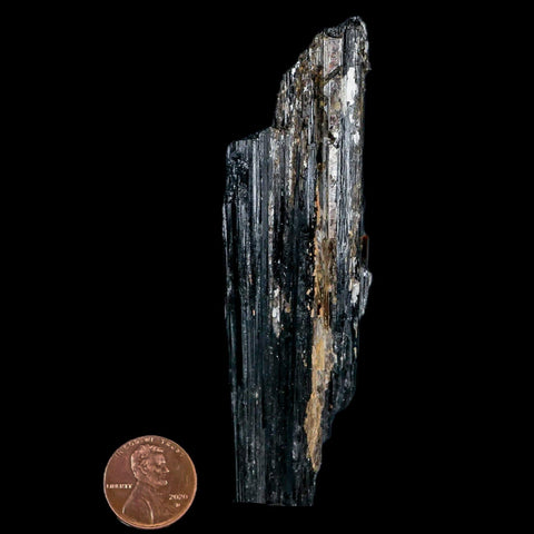 3.9" Natural Rough Black Tourmaline Mineral Crystal Specimen Schorl Brazil - Fossil Age Minerals