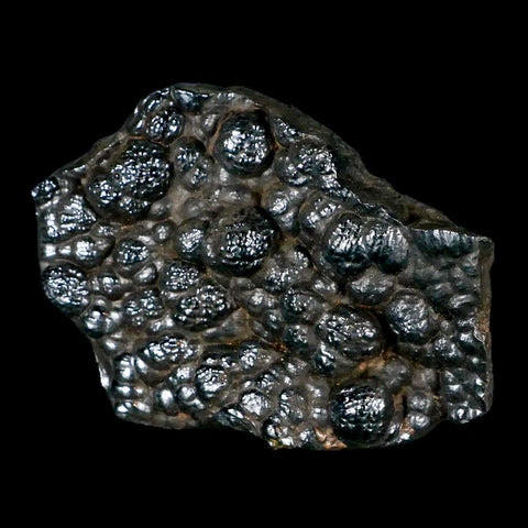 2.9" Hematite Botryoidal Kidney Ore Rock Mineral Specimen Irhoud Mine, Morocco - Fossil Age Minerals