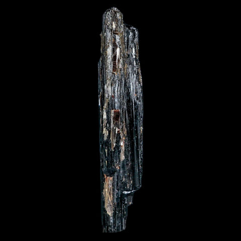 3.9" Natural Rough Black Tourmaline Mineral Crystal Specimen Schorl Brazil - Fossil Age Minerals