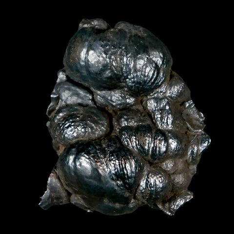 2.1" Hematite Botryoidal Kidney Ore Rock Mineral Specimen Irhoud Mine, Morocco - Fossil Age Minerals