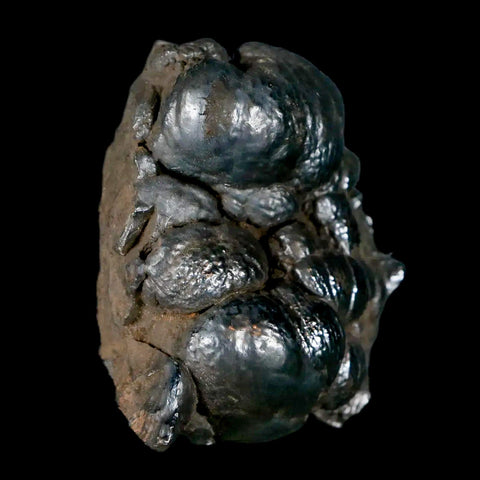 2.1" Hematite Botryoidal Kidney Ore Rock Mineral Specimen Irhoud Mine, Morocco - Fossil Age Minerals