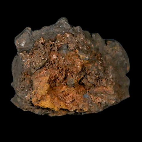 2.1" Hematite Botryoidal Kidney Ore Rock Mineral Specimen Irhoud Mine, Morocco - Fossil Age Minerals