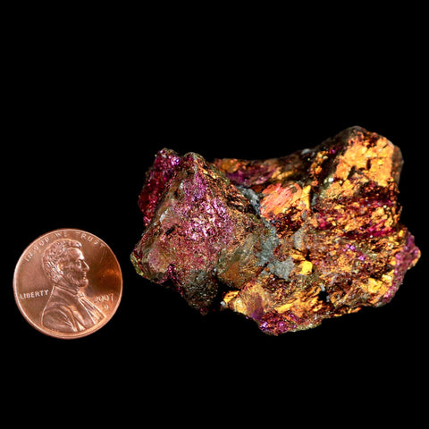 1.9" Chalcopyrite Bornite Brilliant Multicolored Peacock Ore Chihuahua Mexico - Fossil Age Minerals
