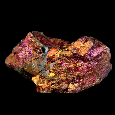 1.9" Chalcopyrite Bornite Brilliant Multicolored Peacock Ore Chihuahua Mexico - Fossil Age Minerals