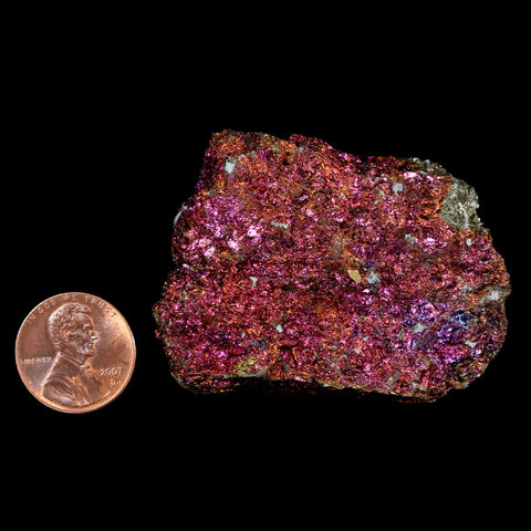 2.1" Chalcopyrite Bornite Brilliant Multicolored Peacock Ore Chihuahua Mexico - Fossil Age Minerals