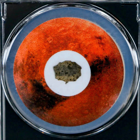 Mars Rock Martian Meteorite Amgala 001 Shergottite Olivine-Phyric COA And Display