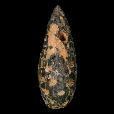 1.4 Fossil Pine Cone Equicalastrobus Replaced By Agate Eocene Age Seeds Fruit - Fossil Age Minerals