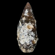 1.4" Fossil Pine Cone Equicalastrobus Replaced By Agate Eocene Age Seeds Fruit