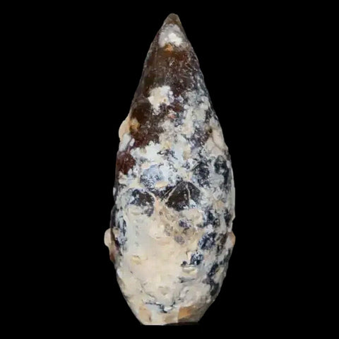 1.4" Fossil Pine Cone Equicalastrobus Replaced By Agate Eocene Age Seeds Fruit - Fossil Age Minerals