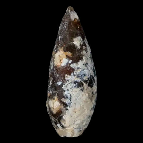 1.4" Fossil Pine Cone Equicalastrobus Replaced By Agate Eocene Age Seeds Fruit - Fossil Age Minerals