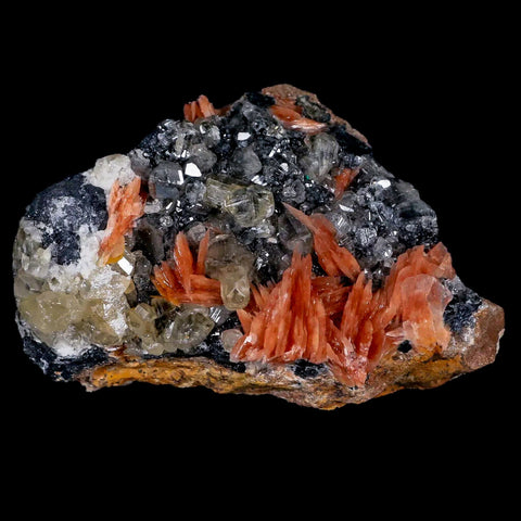 2.8" Sparkly Orange Barite Blades, Cerussite Crystals, Galena Crystal Mineral Morocco - Fossil Age Minerals