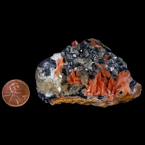 2.8" Sparkly Orange Barite Blades, Cerussite Crystals, Galena Crystal Mineral Morocco - Fossil Age Minerals