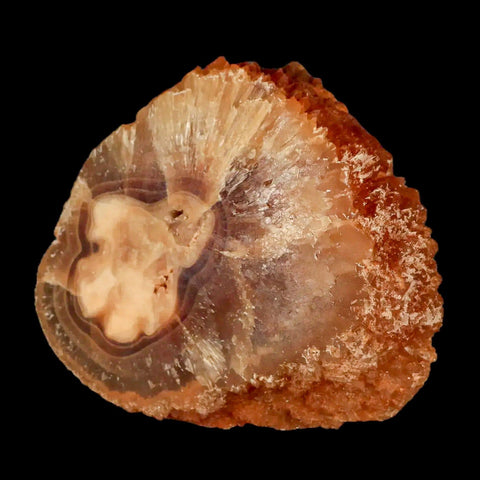 3.2" Natural Cut Rough Cave Honey Calcite Crystal Mineral Specimen Morocco - Fossil Age Minerals