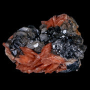 1.9" Sparkly Orange Barite Blades, Cerussite Crystals, Galena Crystal Mineral Morocco