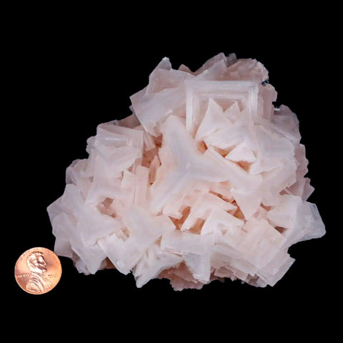 4.3" Quality Pink Halite Salt Crystals Cluster Mineral Trona, CA Searles Lake - Fossil Age Minerals