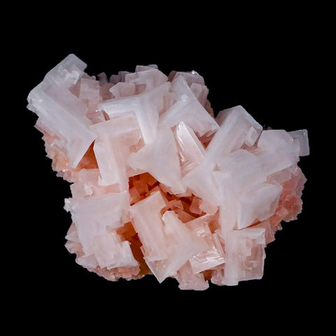 3.8" Quality Pink Halite Salt Crystals Cluster Mineral Trona, CA Searles Lake - Fossil Age Minerals