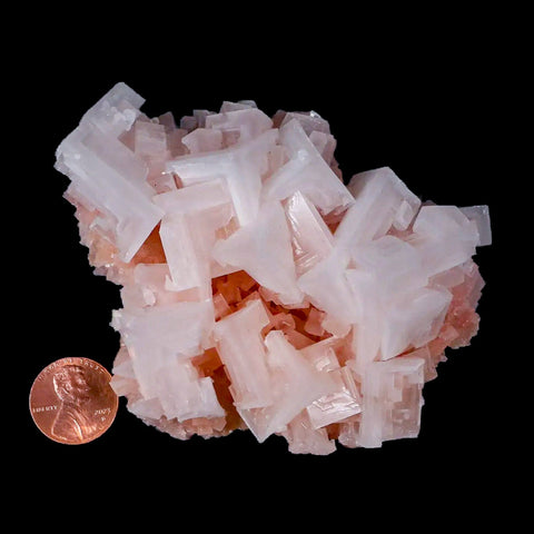 3.8" Quality Pink Halite Salt Crystals Cluster Mineral Trona, CA Searles Lake - Fossil Age Minerals