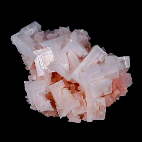 3.8" Quality Pink Halite Salt Crystals Cluster Mineral Trona, CA Searles Lake - Fossil Age Minerals