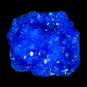 1.9" Electric Blue Chalcanthite Mineral Crystal Specimen Location Poland Sokolowski