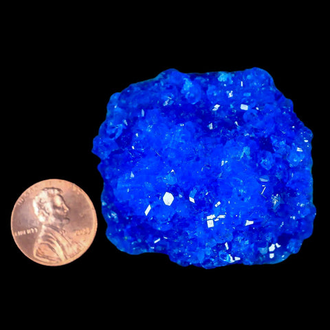 1.9" Electric Blue Chalcanthite Mineral Crystal Specimen Location Poland Sokolowski - Fossil Age Minerals