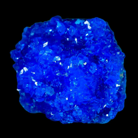 1.9" Electric Blue Chalcanthite Mineral Crystal Specimen Location Poland Sokolowski - Fossil Age Minerals