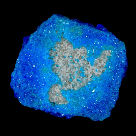 1.9" Electric Blue Chalcanthite Mineral Crystal Specimen Location Poland Sokolowski - Fossil Age Minerals