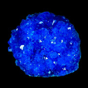 1.9" Electric Blue Chalcanthite Mineral Crystal Specimen Location Poland Sokolowski