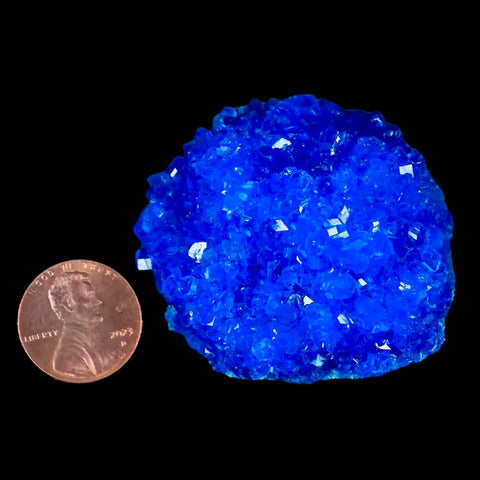 1.9" Electric Blue Chalcanthite Mineral Crystal Specimen Location Poland Sokolowski - Fossil Age Minerals