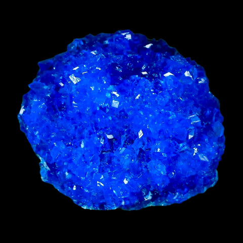 1.9" Electric Blue Chalcanthite Mineral Crystal Specimen Location Poland Sokolowski - Fossil Age Minerals