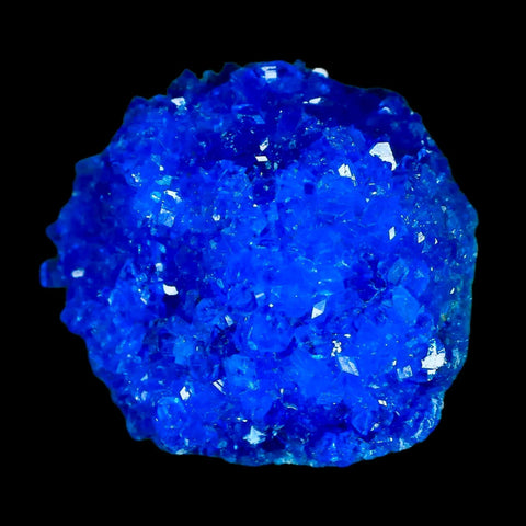 1.9" Electric Blue Chalcanthite Mineral Crystal Specimen Location Poland Sokolowski - Fossil Age Minerals