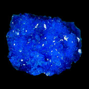 1.9" Electric Blue Chalcanthite Mineral Crystal Specimen Location Poland Sokolowski