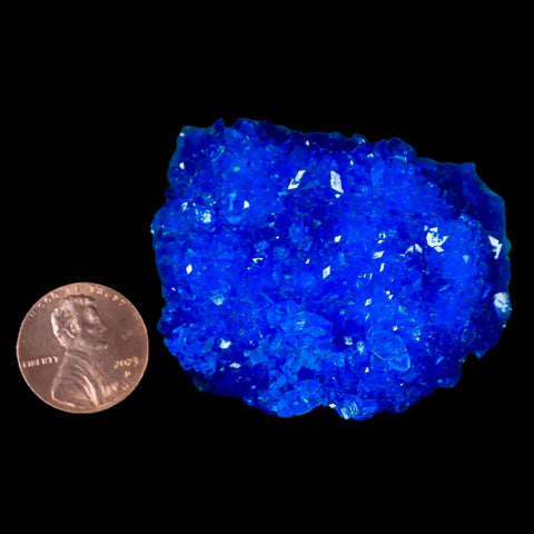 1.9" Electric Blue Chalcanthite Mineral Crystal Specimen Location Poland Sokolowski - Fossil Age Minerals