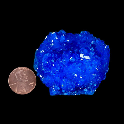 2.1" Electric Blue Chalcanthite Mineral Crystal Specimen Location Poland Sokolowski - Fossil Age Minerals