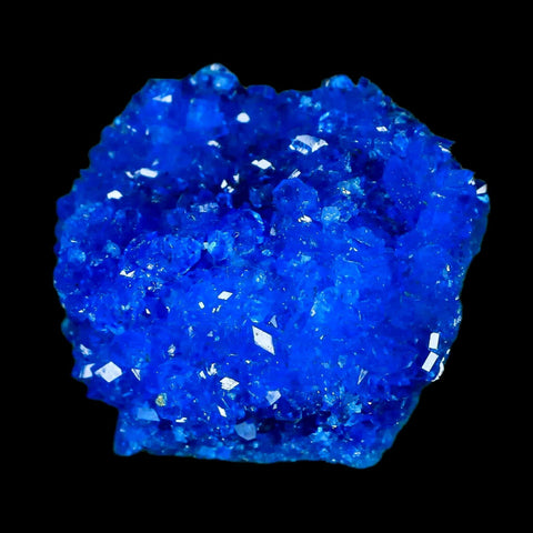 2.1" Electric Blue Chalcanthite Mineral Crystal Specimen Location Poland Sokolowski - Fossil Age Minerals