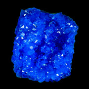 2" Electric Blue Chalcanthite Mineral Crystal Specimen Location Poland Sokolowski